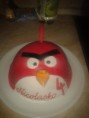 /album/fotogaleria/angry-birds-nicolasko-november-2013-1-jpg/